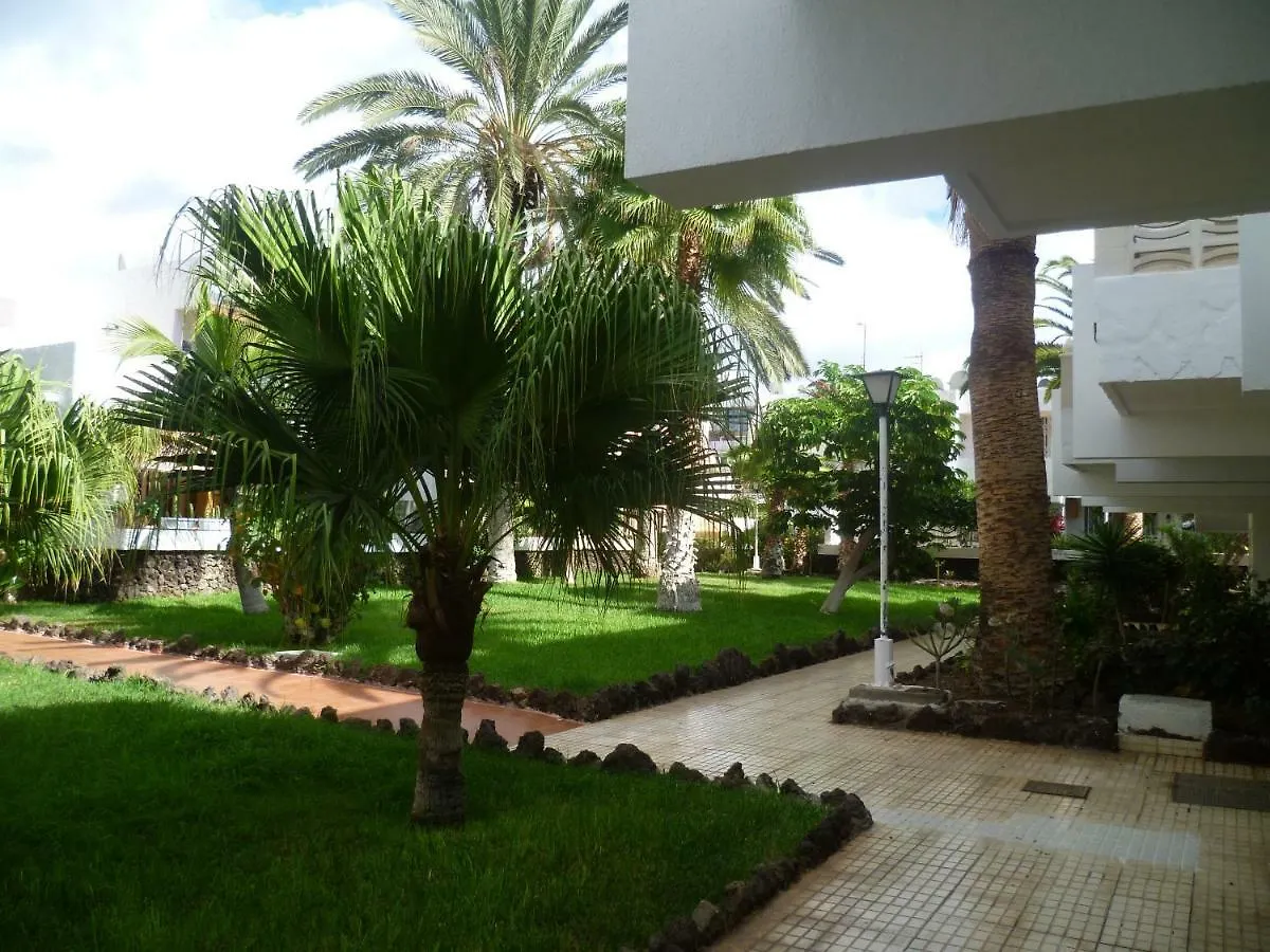 Elana Apartment With Free Wifi  Costa Del Silencio